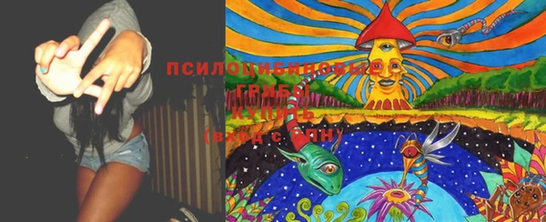 скорость Михайлов