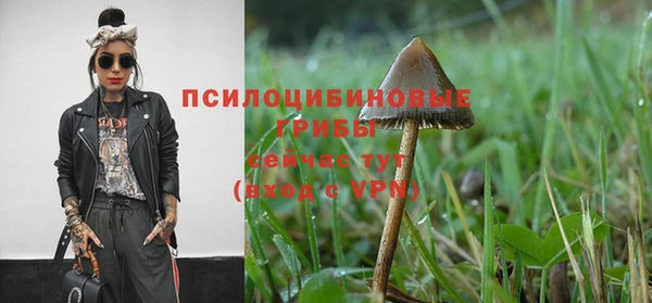 скорость Михайлов