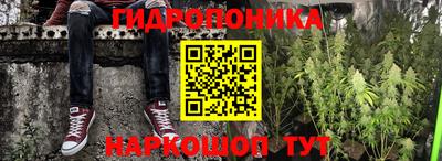 наркотики Гай