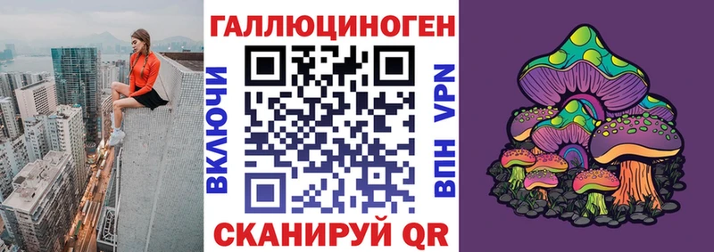 магазин  наркотиков  маркетплейс формула  Галлюциногенные грибы GOLDEN TEACHER  Чита 