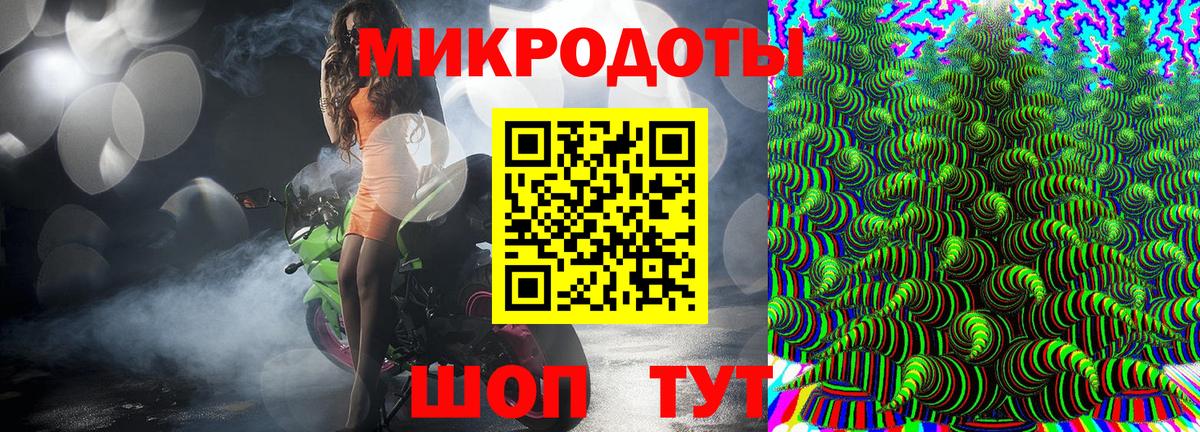 закладка  Чита  Псилоцибиновые грибы GOLDEN TEACHER  Галлюциногенные грибы Psilocybine cubensis 