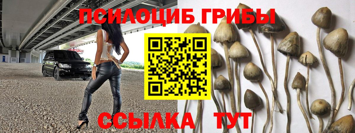 Галлюциногенные грибы мицелий  Псилоцибиновые грибы прущие грибы  Вход с VPN  как найти закладки  Чита 
